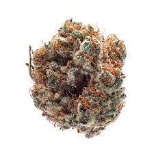 Bio-Jesus Cannabis Strain online Europe - High-quality, potent, and discreetly shipped. Experience the divine of power of the strain, with up 27% THC.