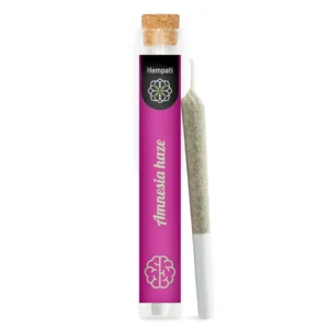 Amnesia Haze Pre Roll Joint. Order Amnesia Haze Pre Roll Joint online in Europe from Europe best weed dispensary, discreet delivery within Germany and Italy