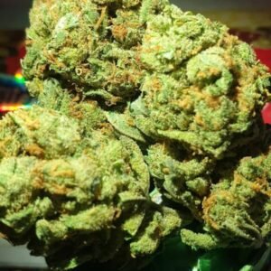 Buy Amnesia Haze online Europe. Amnesia Haze is a sativa-dominant hybrid cannabis strain with a THC level of up to 21%, Amnesia Haze for sale Spain, Italy, Ireland and Germany.
