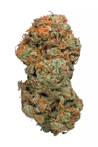 Buy Sour Haze Marijuana Strain. THC: 19% - 26%. May Relieve: ADD/ADHD, Bipolar Disorder, Depression, Fatigue, Headaches, Migraines, PTSD, Stress.
