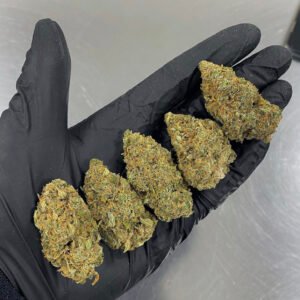 THC weed for sale in Italy. Order THC vape juice in Milan. Buy THC Gummies in Germany, Cannabis oil for sale Portugal, Spain, Belgium, Ireland and UK.