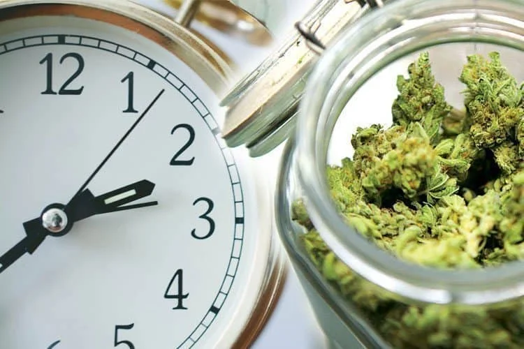 Weed Delivery Copenhagen Denmark